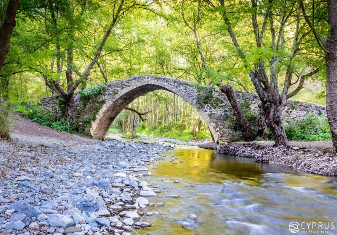 Domestic Tourism in Cyprus