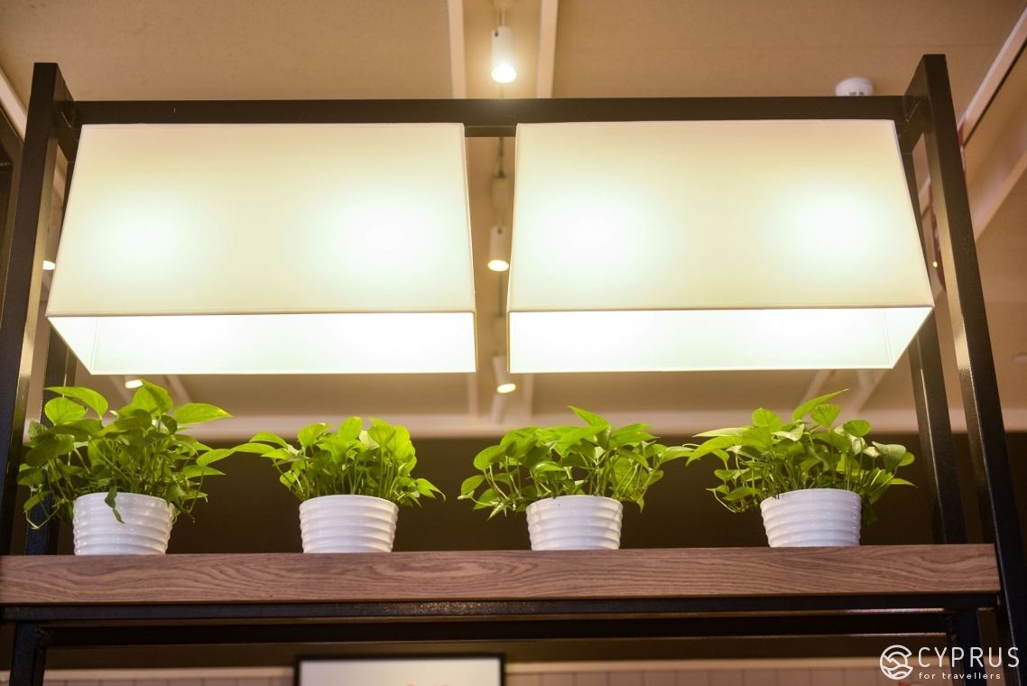 Tiny Balcony Garden Diy