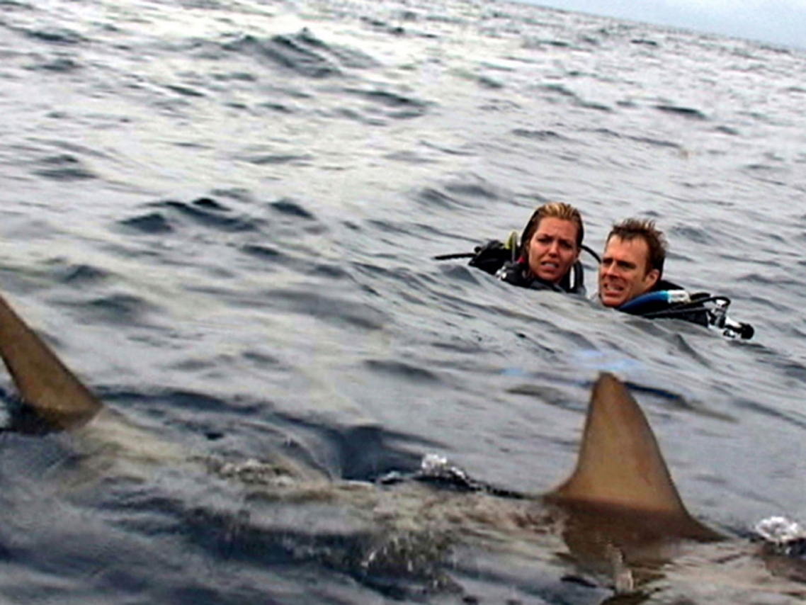 Open Water, 2003 Open Water, 2003